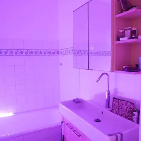 Rare Avec Jardin Privatif Au Centre De Apartment *